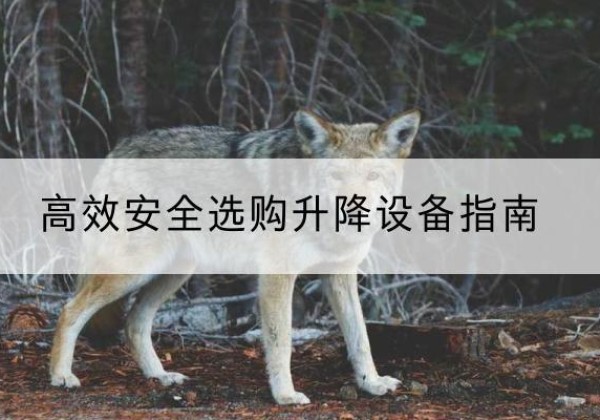 百色升降货梯厂家推荐-*安全选购升降设备指南