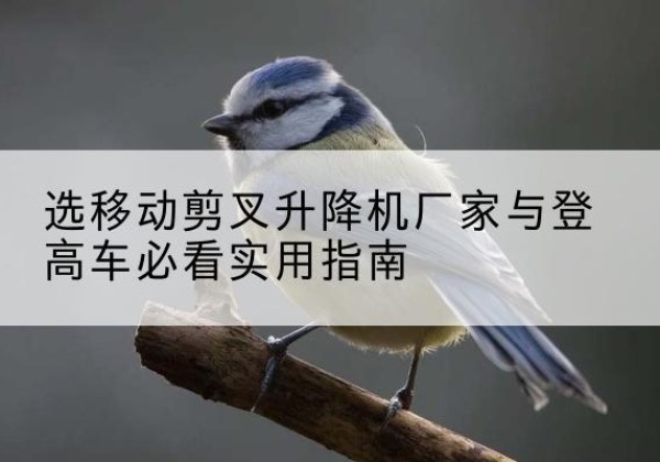 百色电动升降机厂家-选移动剪叉升降机厂家与登高车必看实用指南